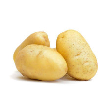 Export Quality 100% Natural Fresh wholesale Cheap Potato holland potato suppliers